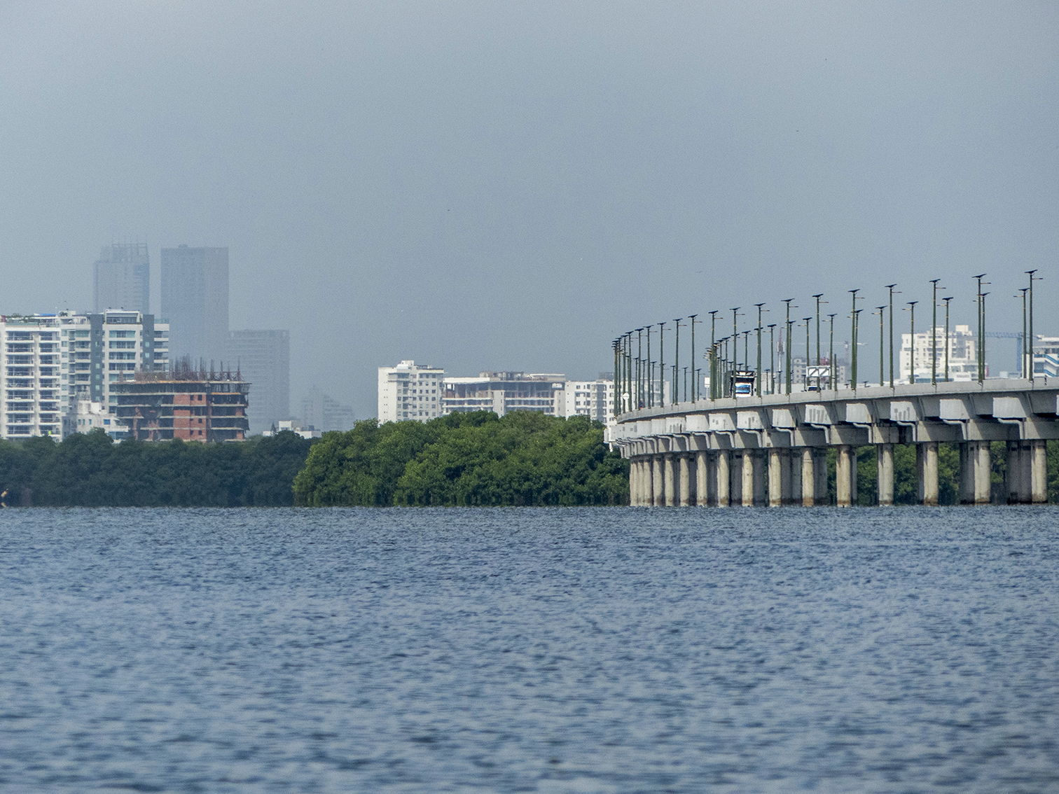 El viaducto Gran Manglar se ubica sobre la Ciénaga de La Virgen en Cartagena. Un gran puente vehicular atraviesa la ciénaga.