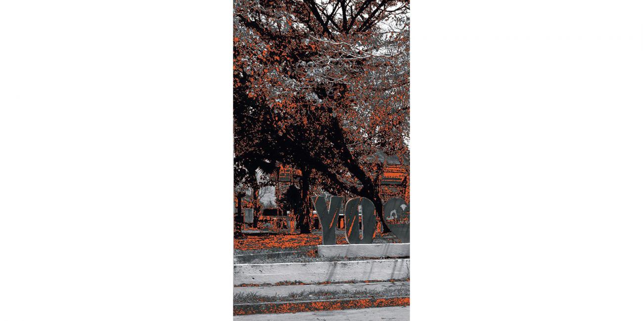 Plazoleta de pueblo. Árbol frondoso y en letras grandes: “Yo”, al lado de un corazón