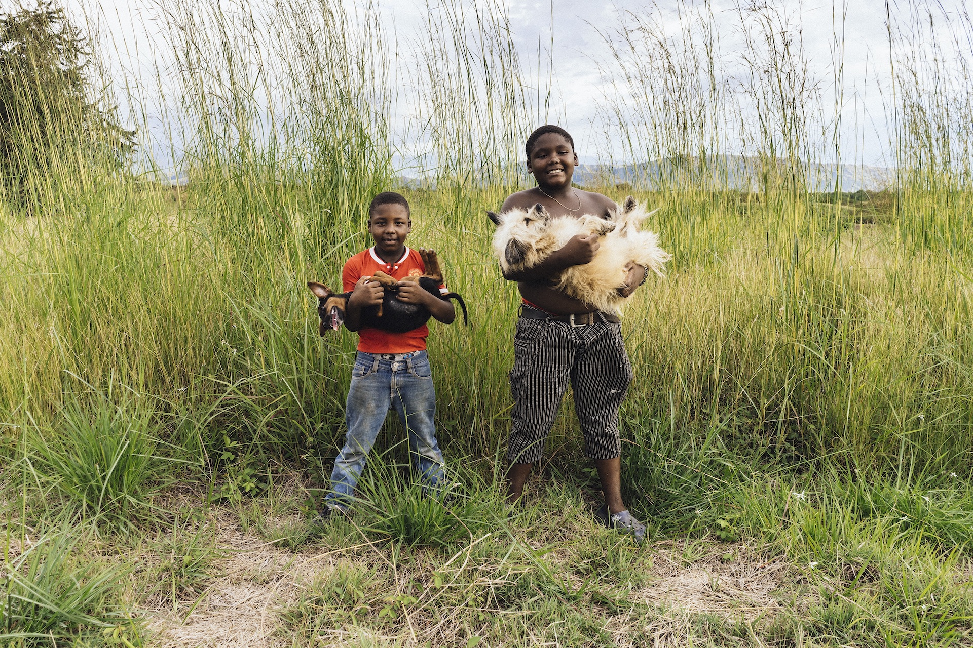 Paisaje con pastos altos. Dos niños cargan cada un perro entre sus brazos, sonríen